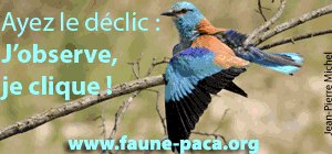 FAUNE-PACA.ORG web site