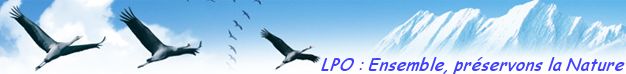 Protégez et Observez les Oiseaux avec la  LPO